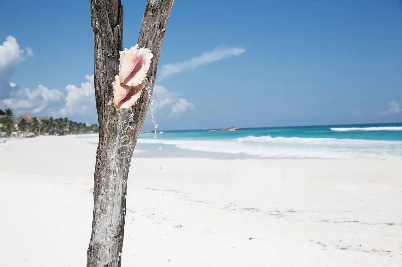 Coco Tulum Beach Club Hotel